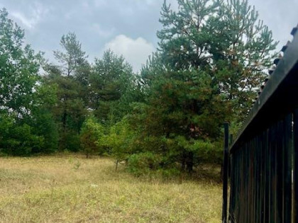 Działka budowlana Warszawa Wesoła, Zielona