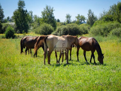 Działka budowlana Jodłówka gm. Rzezawa