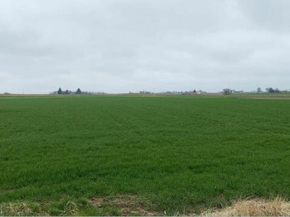 Działka budowlana Ługów gm. Jastków, Ługów