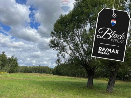 Działka siedliskowa w Pustelniku