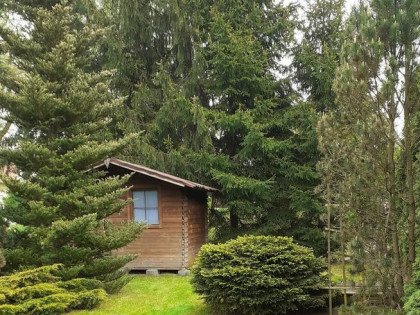 Działka ROD Pod Wierzbami Kraków Golikówka