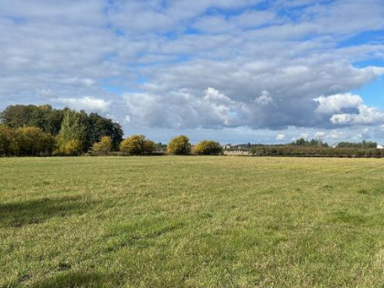 Boglewice k Jasieńca działka rolno-budowlana 1,14 ha