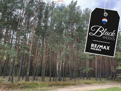 Działka rolna z samosiejkami