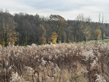 Działka budowlana- Byszewy, gm. Nowosolna