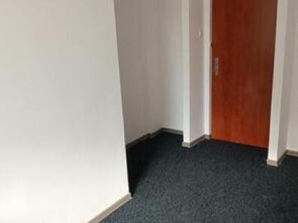 Wolne Lokale do wynajęcia w Krośnie