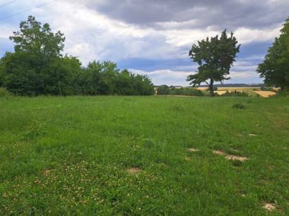 Działka budowlana Poręba Laskowska gm. Skała