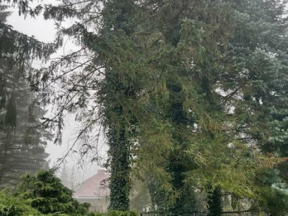 Działka budowlana Warszawa Wesoła