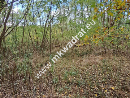 ⭐⭐⭐⭐⭐ SUPER - budowlana 1000m2 Pod Kampinosem