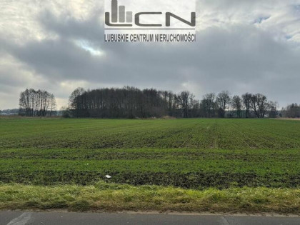 SPRZEDAM działki Gorzów Wlkp. obręb Zieleniec