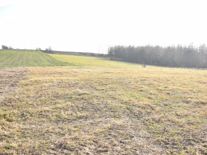 Działki budowlane 10.7a i 13.6a - Wola Rafałowska