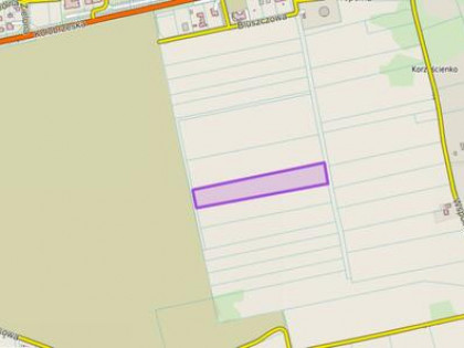 Działka budowlana Korzystno gm. Kołobrzeg, Korzystno