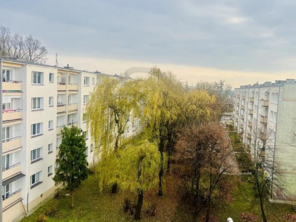 Z głową w chmurach - przygoda na Wileńskiej