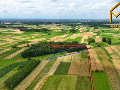 Działka leśna Łukowa gm. Lisia Góra