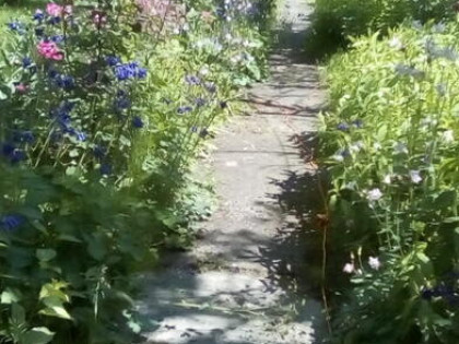 Dom 125 tys. zł, ogród ROD 869 m2 za 0zł, Katowice Muchowiec