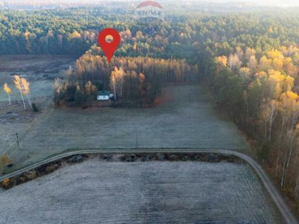 4 hektary wolności pod Warszawą, Ostrowik