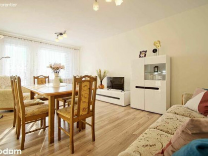 Słoneczne i wyposażone mieszkanie w atrakcyjnej cenie