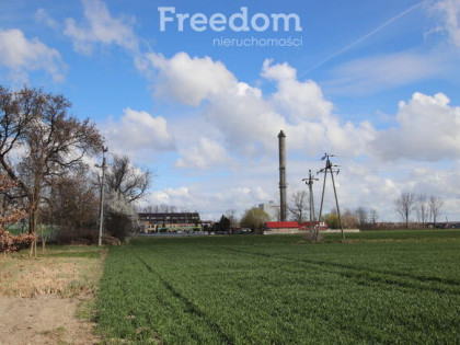 Działka inwestycyjna 7000 m² – usługi.