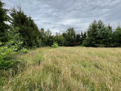 Działka rolna Obroty gm. Kołobrzeg, Obroty