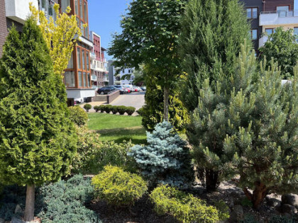 Mieszkanie Kołobrzeg Bajkowe, Mazowiecka