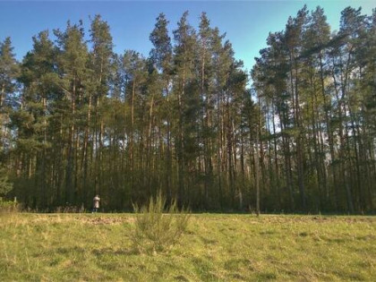 Działka budowlana Budzistowo gm. Kołobrzeg, Stare Miasto