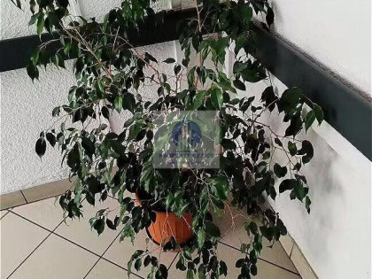 Lokal Warszawa Śródmieście ul. Waryńskiego