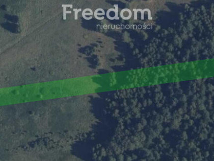 Działka rolna - łąka/pastwisko