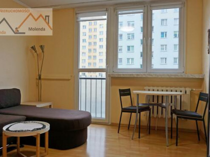 Mieszkanie Bolesławiec, Zygmunta Augusta