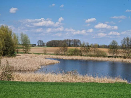 Działka rolna Łąki Markowe gm. Boniewo, Łąki Markowe