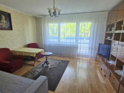 Południe, 2 pokoje, parter, do remontu!