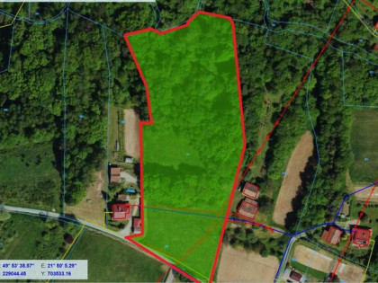 Glinik Charzewski działka 1,18 HA Sprzedam