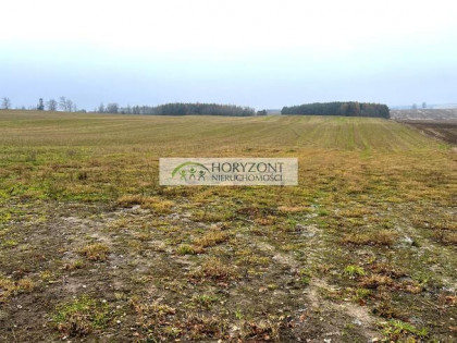 Działka Borcz gm. Somonino 2 ha