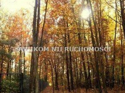 Działka budowlana Radziejowice Tartak Brzózki