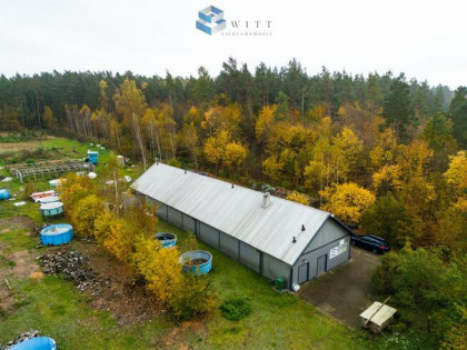 Lokal użytkowy Łukta