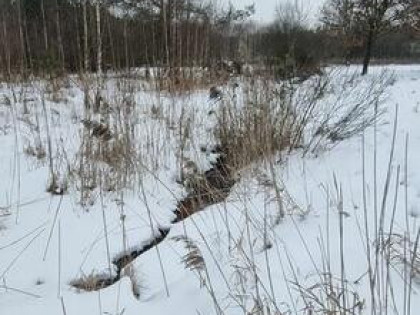 Syndyk sprzeda udział 1/3 w nieruchomości gruntowej