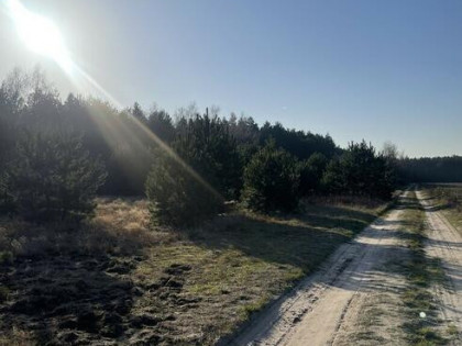 Idealne miejsce na dom,6241 m² blisko lasu i rzeki