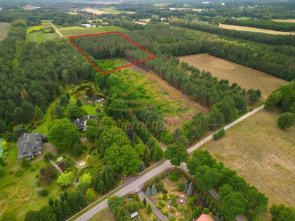 Działka rolna Żabia Wola, św. Anny