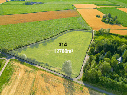 Działka 1,27 ha Wola Miedniewska 4 km od CPK, 3 km A2