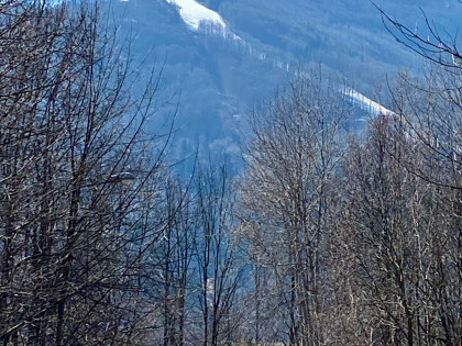 GOTOWIEC INWESTYCYJNY bez podatku PCC