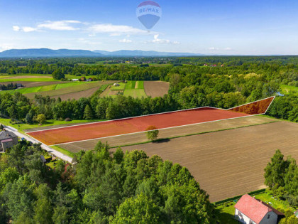 Działka z warunkami zabudowy, Oświęcim/Grojec