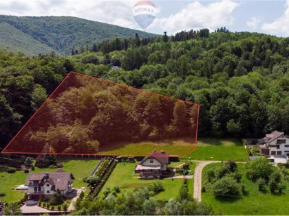 Najwyższa działka pod Czantorią – dom w lesie