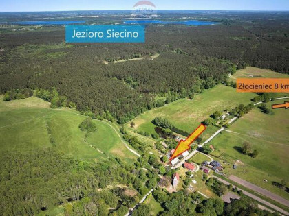 Urocze miejsce na wsi wśród lasów, z potencjałem!