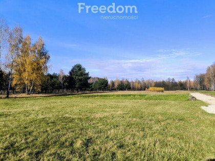 Stare Budy Radziejowskie -1200m2 - prąd!