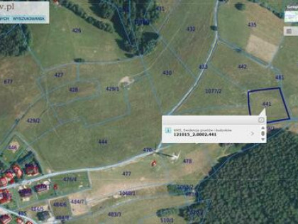 Bardzo atrakcyjna widokowa działka 28 ar – Rytro