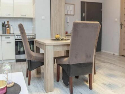 Wynajmę mieszkanie dwupokojowe Nidzica Ogrodowa