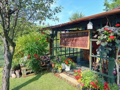 Działka w ROD PRZYSZŁOŚĆ w Rzeszowie