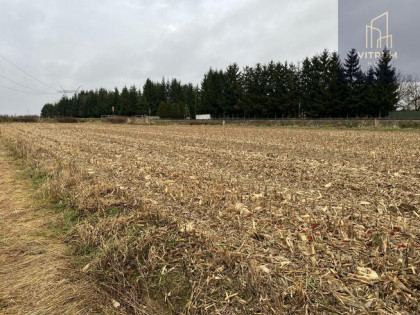 Działka rolna Łęg Tarnowski gm. Żabno