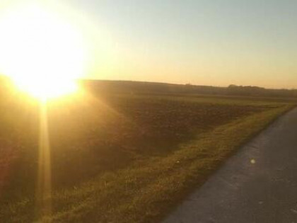 MPZP Niwki ladna lokalizacja przy drodze asfaltowej