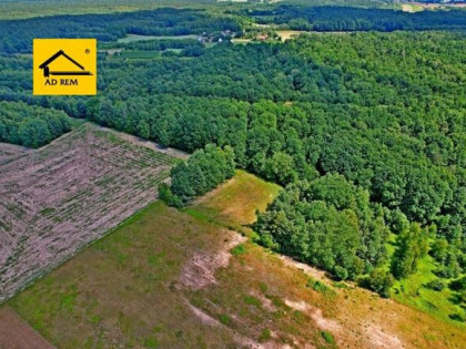 Działka rekreacyjna Uściąż gm. Karczmiska, Uściąż