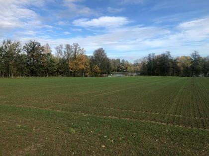 3 działki budowlane – Stara Wieś k. Wilamowic – 140 zł/m²