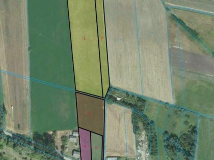 Sprzedam pole 1,30 ha w Pasturce